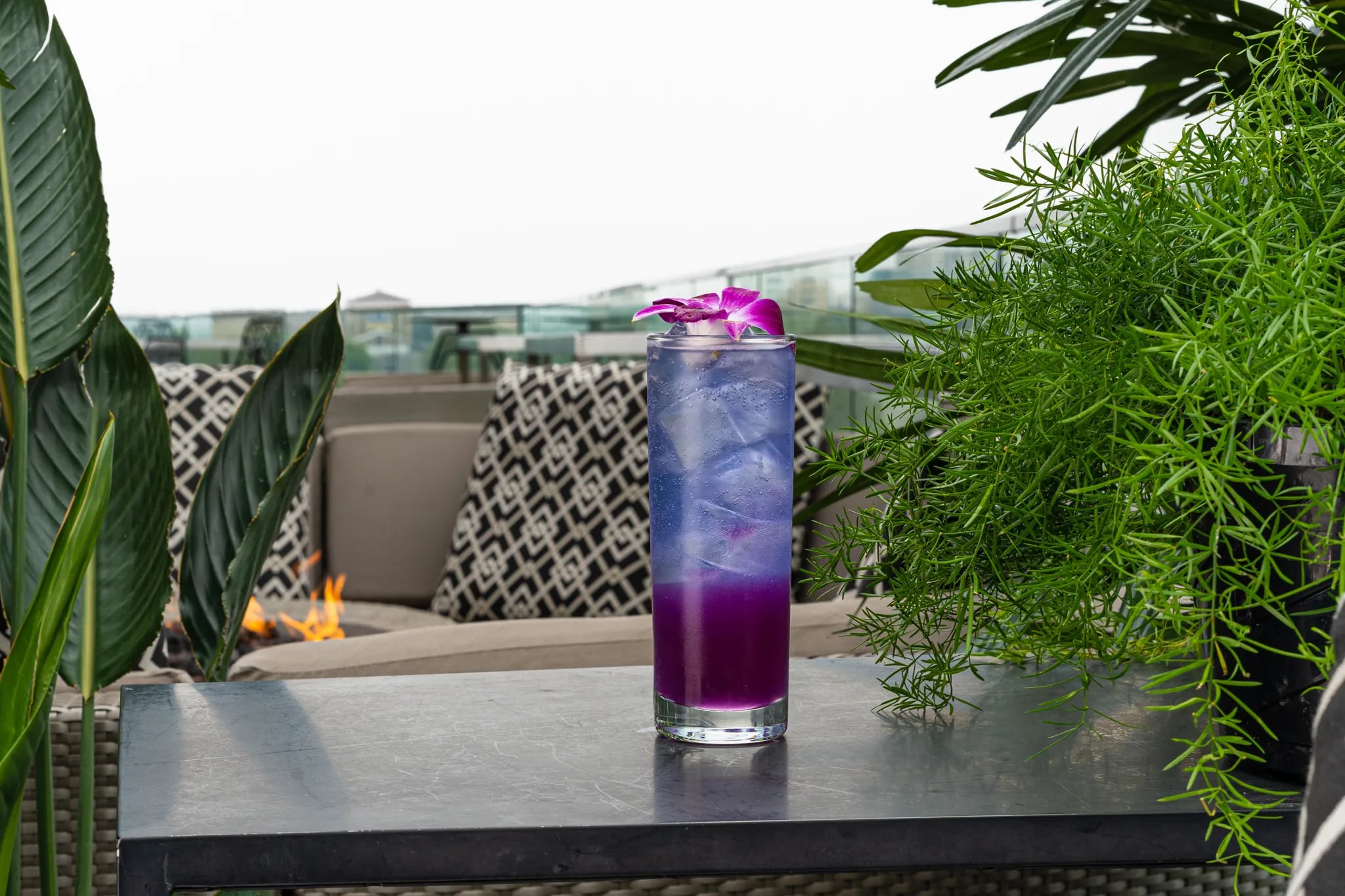 Sip on the Lavender Haze cocktail at Assembly Rooftop.