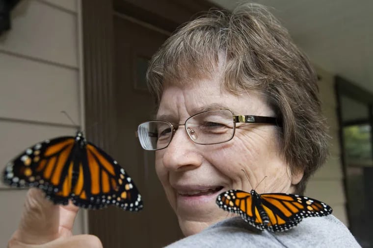 Suzan Preiksat, a retired computer programmer, with a couple of the monarch butterflies she raised.