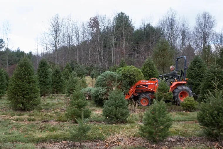 Gary Hague shown here at his Christmas Tree farm in Tunkhannock, Luzerne County, where internet speeds are among the state's slowest.
