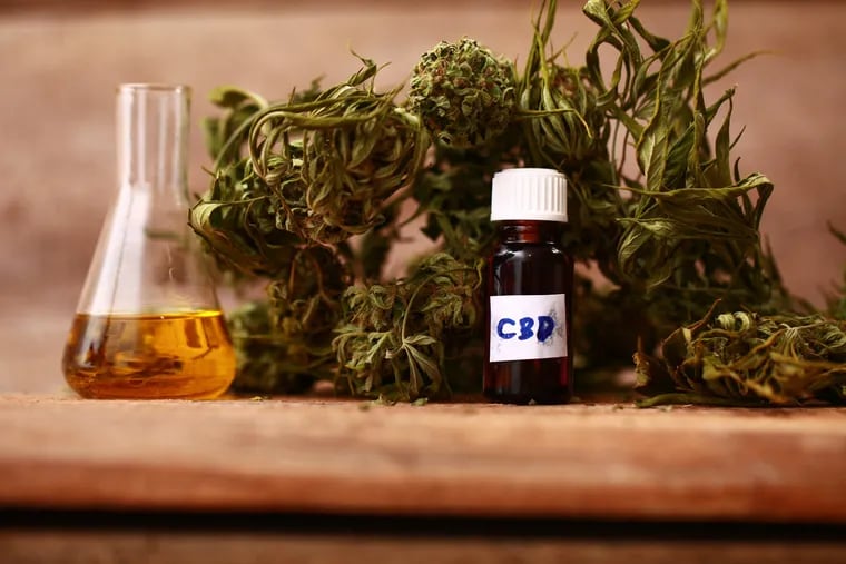 The FDA last year approved a highly purified marijuana-derived CBD drug, Epidiolex, to treat some rare forms of childhood epilepsy. But the federal agency has not granted any other drug approvals for CBD and it forbids the use of CBD in cosmetics and as an ingredient in foods. (Dreamstime/TNS)