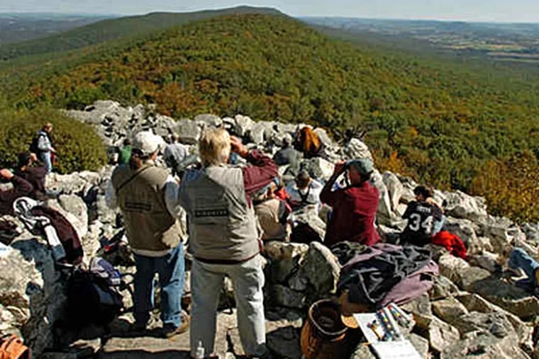 In the fall, observers crowd the North Lookout on Hawk Mountain in Berks County, where until 1934 hunters shot the migrating raptors from the sky. (Clem Murray / Staff)