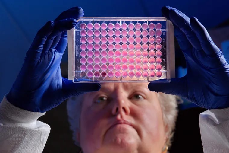 Kitty Anderson, a microbiologist at the Centers for Disease Control and Prevention, holds up a 96-well plate used for testing the ability of bacteria to grow in the presence of antibiotics. (Centers for Disease Control and Prevention/TNS)