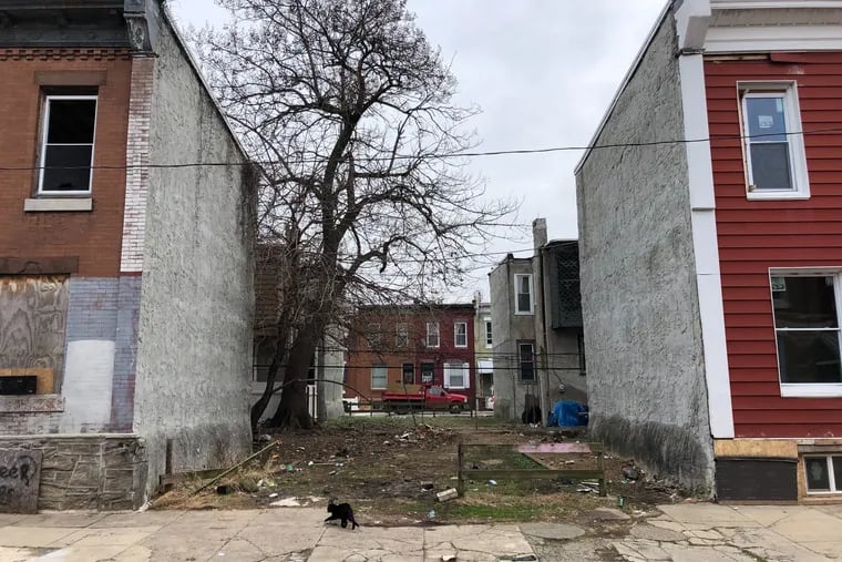 A black cat walks across a vacant lot in the 2700 block of Judson Street in the Swampoodle section of North Philadelphia on Wednesday.  A dead infant was found there on New Year's Eve, a neighbor said.
