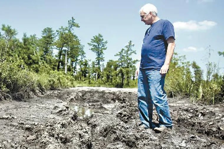Mud in his eye: Photographer Albert D. Horner wishes off-roaders in the Pinelands would tread more lightly. Above, a wallow in Wharton. (JESSICA KOURKOUNIS / For The Inquirer)