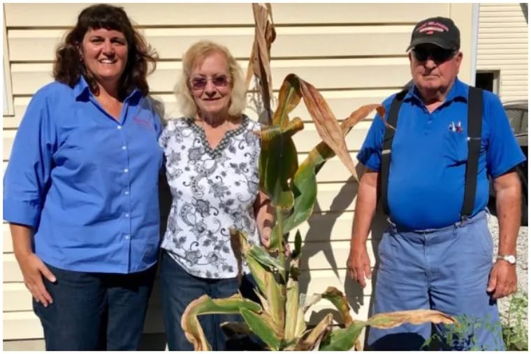 Rutgers University extension agent Michelle Infante-Casella, left, with Virginia and Matthew Jacobelli and the record breaking corn stalk.