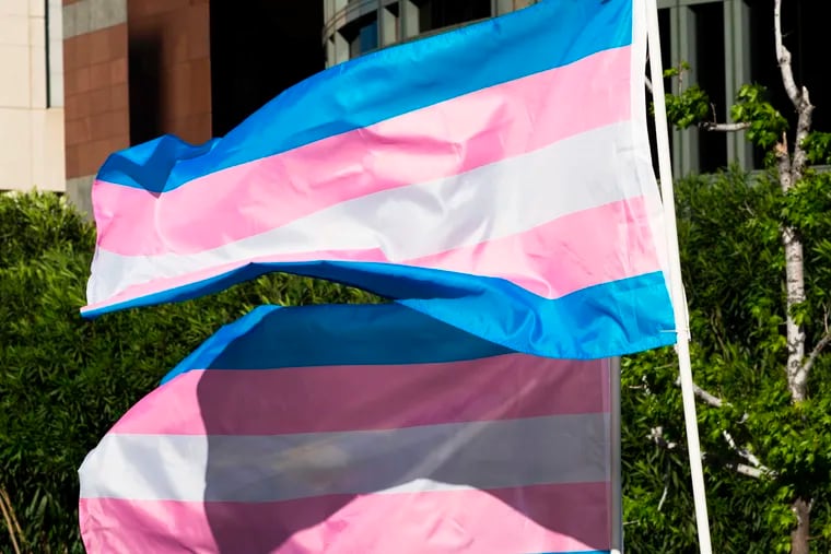 Trans pride flags flutter in the wind at a gathering to celebrate  International Transgender Day of Visibility, March 31, 2017 at the Edward R. Roybal Federal Building in Los Angeles, California. International Transgender Day of Visibility is dedicated to celebrating transgender people and raising awareness of discrimination faced by transgender people worldwide. (Robyn Beck/AFP/Getty Images/TNS)