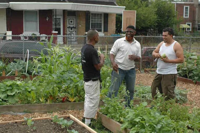 Antonio Colon (left) chats with Jamal Bell (center) and an unidentified man in the urban farm set up by the House of Umoja, on Master Street near 57th. Last year, the organization launched an initiative meant to revitalize the neighborhood.