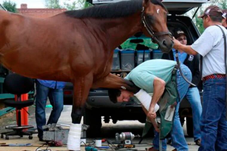 Nikes? Big Brown gets a new set of shoes from blacksmith Ian McKinlay. Holding the horse is groom Ramiro Gonzales.