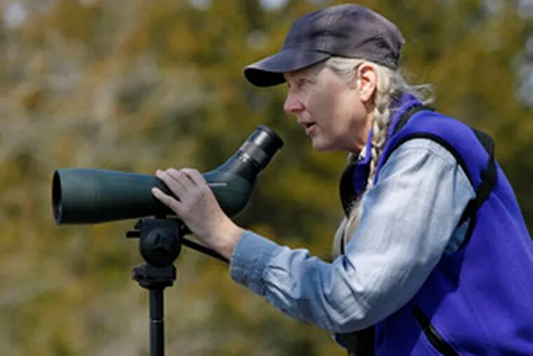 Mary Cairns of Manassas, Va., tests a scope from the Cape May Bird Observatory Northwood Center. She said she spotted a coot through the device, which she was considering buying.