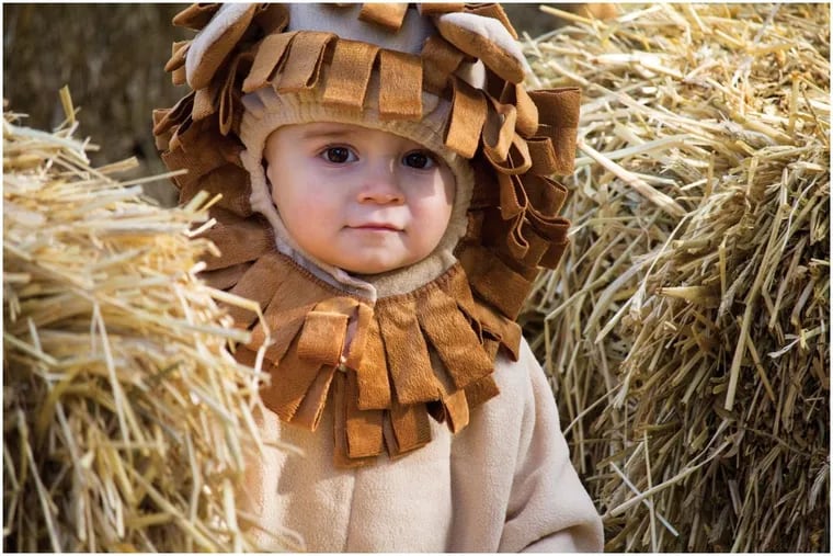 There will be little lions and big lions at Boo at the Zoo.