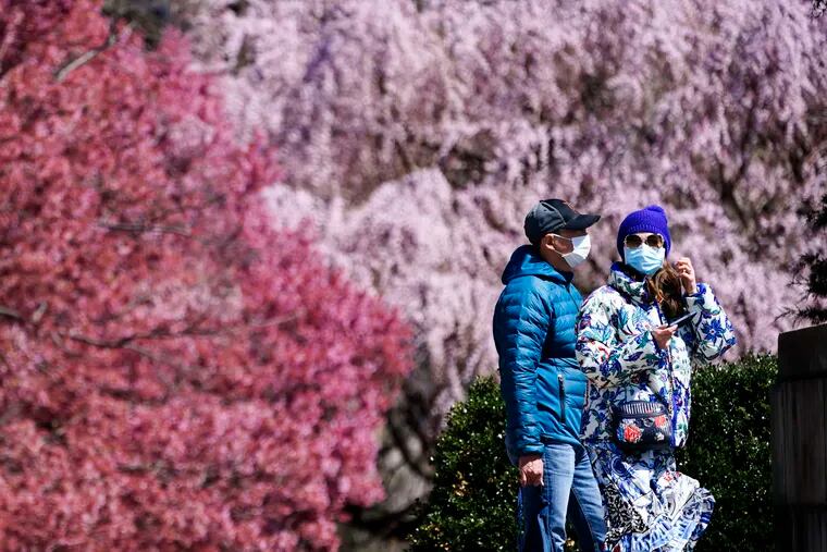 People wearing face masks as a precaution against the coronavirus walk past blossoming trees on a spring afternoon at the Philadelphia Museum of Art in March.