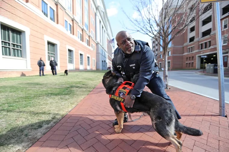Deputy Paul Bryant with his cadaver dog, Don, at the Chester County Sheriff's Office in March 2017. The unit has come under increased scrutiny in recent weeks, thanks to an audit undertaken by the county's controller.