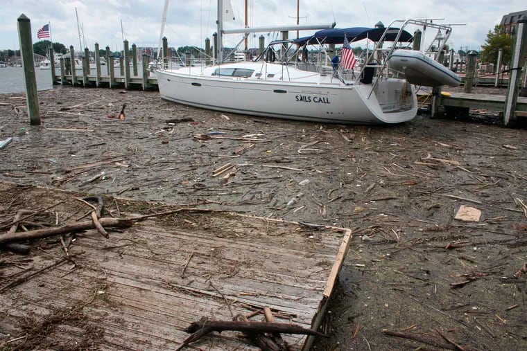 Debris washed into Maryland waters from record rainfall accumulates around a sailboat in Annapolis, Md., on Wednesday, Aug. 1, 2018.