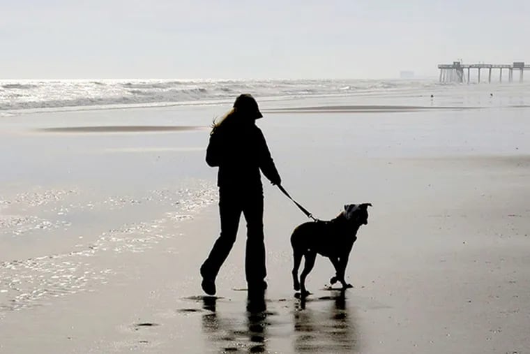 Wildwood's ordinance would set aside a stretch of beach for dogs and their owners.