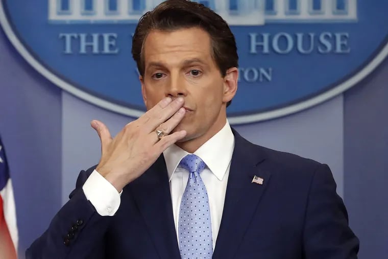 Anthony Scaramucci has a way with four-letter words