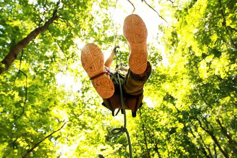 Tree-climbing gains popularity as a full-body, outdoor workout