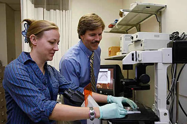 Director Douglas H. Smith and researcher Kristin Hamann prepare stretched axons - parts of a neuron - for examination at Penn's Center for Brain Injury and Repair. (Michael S. Wirtz/Staff)
