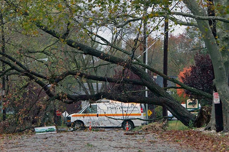 A PSEG truck is near a downed tree and power lines on W. Tampa Ave., in Cherry Hill October 30, 2012.  ( DAVID M WARREN / Staff Photographer )