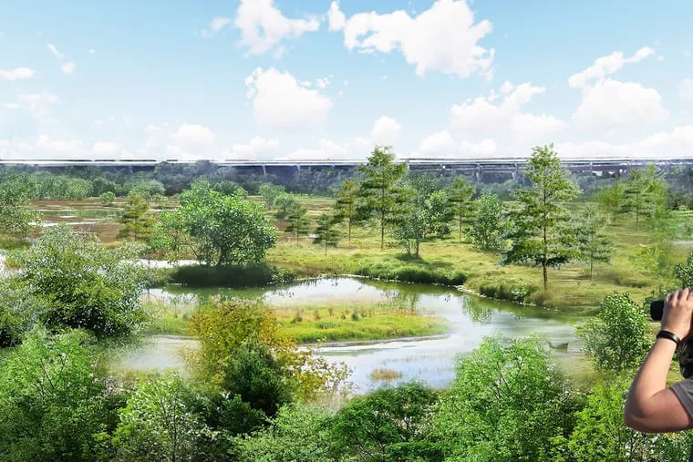 A view of a 33-acre wetland in FDR Park, on which the city is slated to break ground this month.