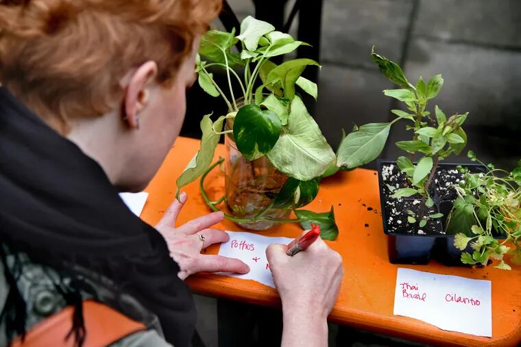 Robbie Murphey labels the pathos and Thai basil plants she brought from home to exchange with Pennsylvania Horticultural Society members and fellow plant enthusiasts meeting up for a monthly Plant Swap at the PHS Pop Up Garden on South Street May 14, 2019.