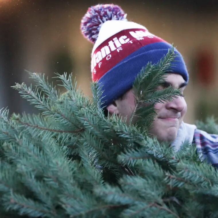 Employee Will Hauser handles a Christmas tree for a customer at Yeager's Farm in Phoenixville, Pa. on Friday, Dec. 2, 2022.