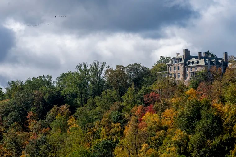 Donald Trump was able to cut his taxable income by $21 million by promising to preserve the woodlands in his family estate in Westchester County, N.Y.  A land trust in Chadds Ford accepted Trump's pledge not to develop the land, the basis of his tax cut.