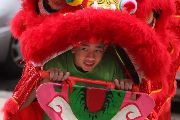 Vi Ta, 13, looks out of the head of the Red Lion as he practices for the traditional dance with fellow Boy Scouts of Troop 547 before the Lunar New Year, or Tet, festival at South Philadelphia High School.