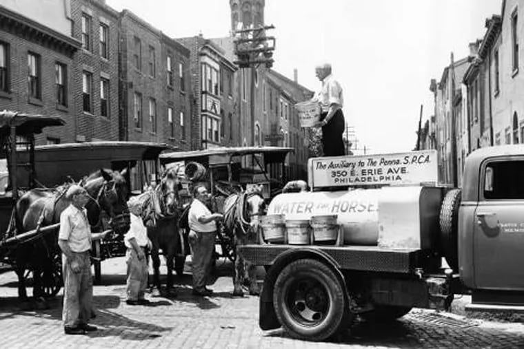 A water truck for horses in the 1930s. The PSPCA was founded in part to ensure better treatment of the city’s horses.