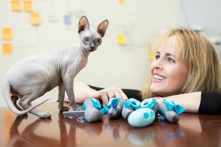 Veterinarian Liz Bales, of Chestnut Hill, with her kitten Carlos and the NoBowl feeding system she designed to help cats eat in a more natural, less anxiety-inducing manner.