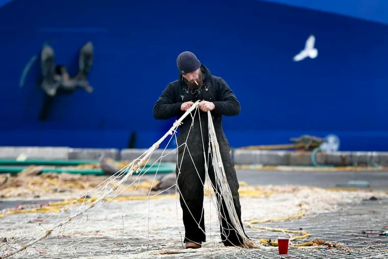 Fisherman Buck Alexander mends a trawling net in Portland, Maine. A report in Science magazine says cod are now unable to rebound from fishing pressure.