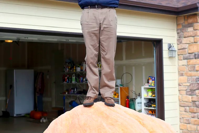 In this Wednesday, Oct. 16, 2019 photo Andy Corbin poses for a photo with his 1,491 pound pumpkin in Cheyenne. Corbin now once again holds the state record for largest pumpkin.