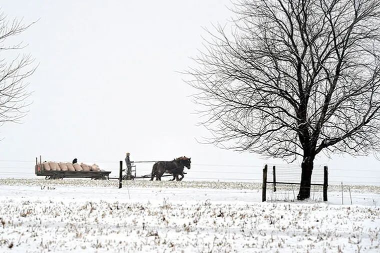 In Lancaster County, a man hauls farm cargo with a horse-drawn carriage. DAN MARSCHKA / Associated Press
