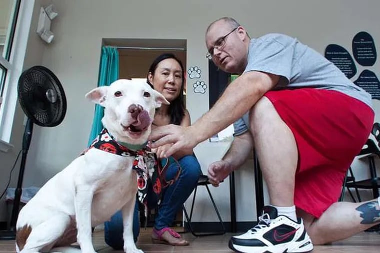 Li Min and Chuck Doyle of Mount Laurel with Rosie, a Lab mix they adopted from the Animal Welfare Association. (David M Warren / Staff Photographer)