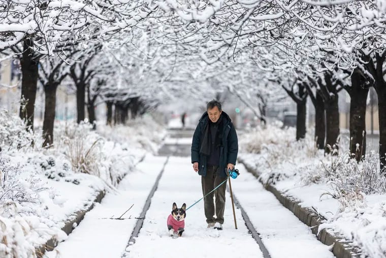 Philadelphian Jeki Ma walks his dog, Ten Ten, 5, near their home along Columbus Boulevard on a snowy February morning. We didn't have many of those.