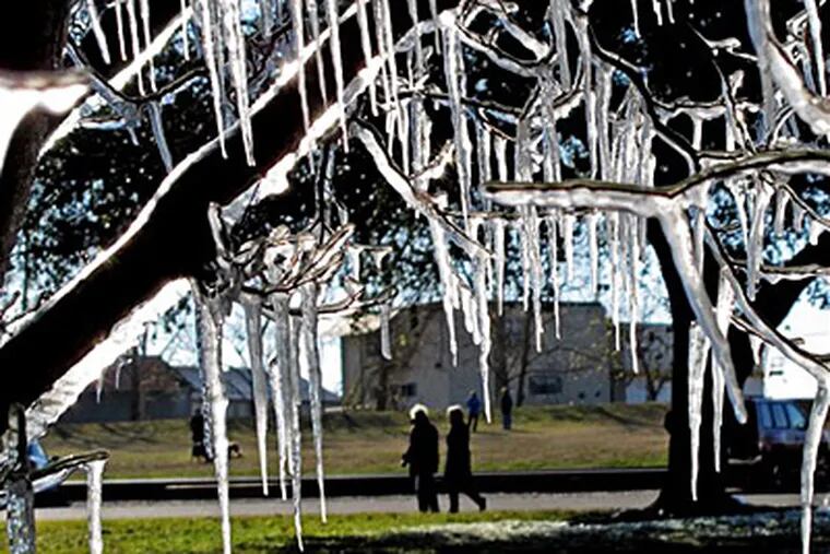 Icicles hang from a tree in New Orleans on Saturday. (AP Photo/Judi Bottoni)