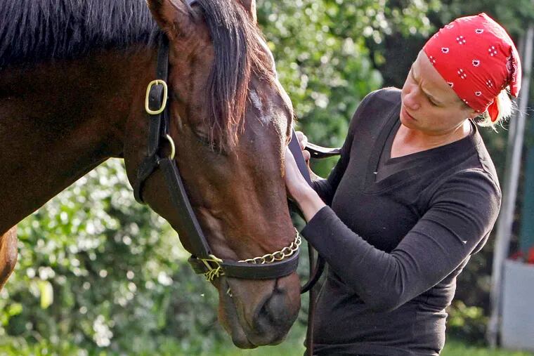 Exercise rider Jennifer Patterson rubs the face of Kentucky Derby winner and Preakness Stakes hopeful Orb as he grazes outside the stakes barn at Pimlico Race Course Wednesday, May 15, 2013, in Baltimore. The Preakness Stakes horse race is Saturday. (AP Photo/Garry Jones)