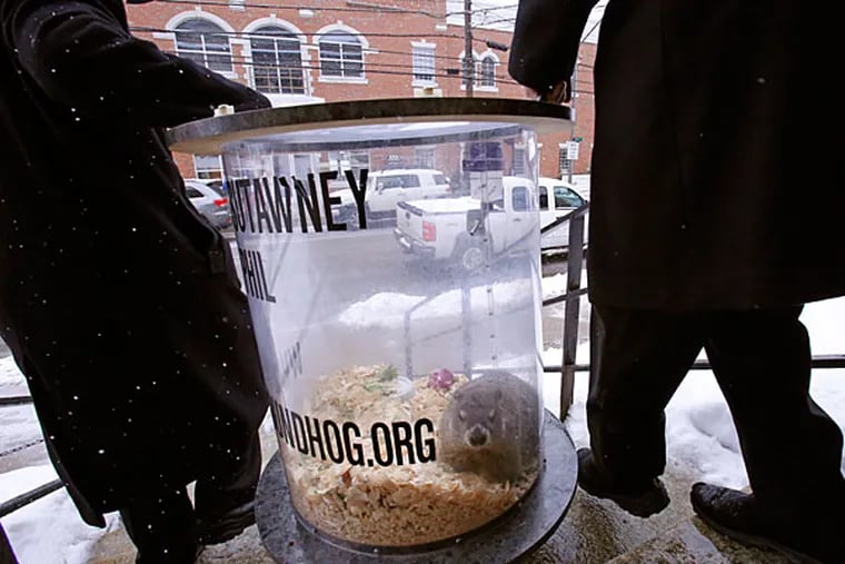 Groundhog Club handler John Griffiths, left, and co-handler Ron Ploucha carry Punxsutawney Phil, the weather prognosticating groundhog, on his rounds through downtown Punxsutawney, Pa., Sunday, Feb. 1, 2015, the eve of the 129th Groundhog Day celebration on Gobbler's Knob.