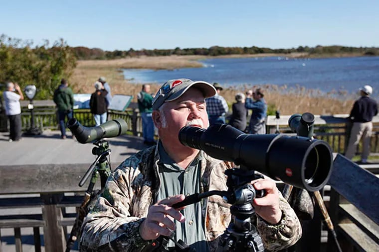 Warren J. Lilley Jr., 64, a member of the Audubon Society of Atlantic County, watches birds at Cape May Point State Park. Several thousand birders attended the three-day Cape May Autumn Birding Festival, which included field trips, lectures, demonstrations, and exhibits.