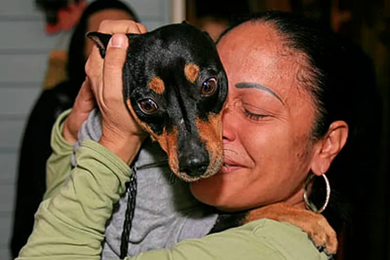Wilma Berrios is holding tight her pet Miniature Pincher  "Tuti" when the pair are reunited at her North Philadelphia home Thursday. (Akira Suwa  /   Staff Photographer)