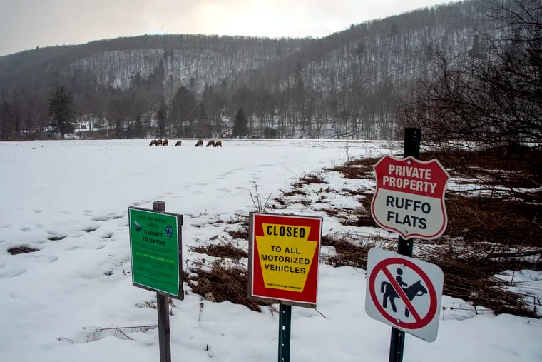Elk — like those seen here in a field in Benezette — are a major tourism driver in northern Pennsylvania.