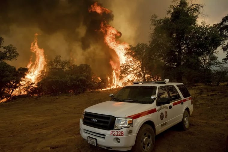 Flames from a wildfire engulf trees near Oroville, Calif., on Saturday. The fire south of Oroville was one of more than a dozen burning in the state as firefighters worked in scorching temperatures to control unruly flames.