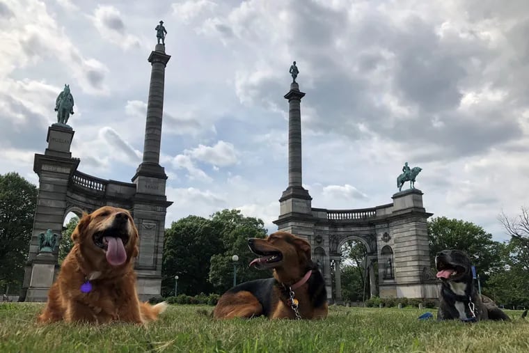 #ArtPup crew Penny, Heidi, and Bandit hanging out at Smith Memorial Arch in Philadelphia's West Fairmount Park