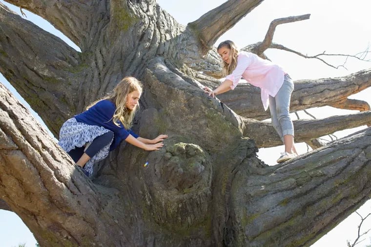 Kylie Rogers is Anna Beam, left with Brighton Sharbino as her sister Abbie, climbing on the fateful cottonwood tree in &quot;Miracles from Heaven.&quot;