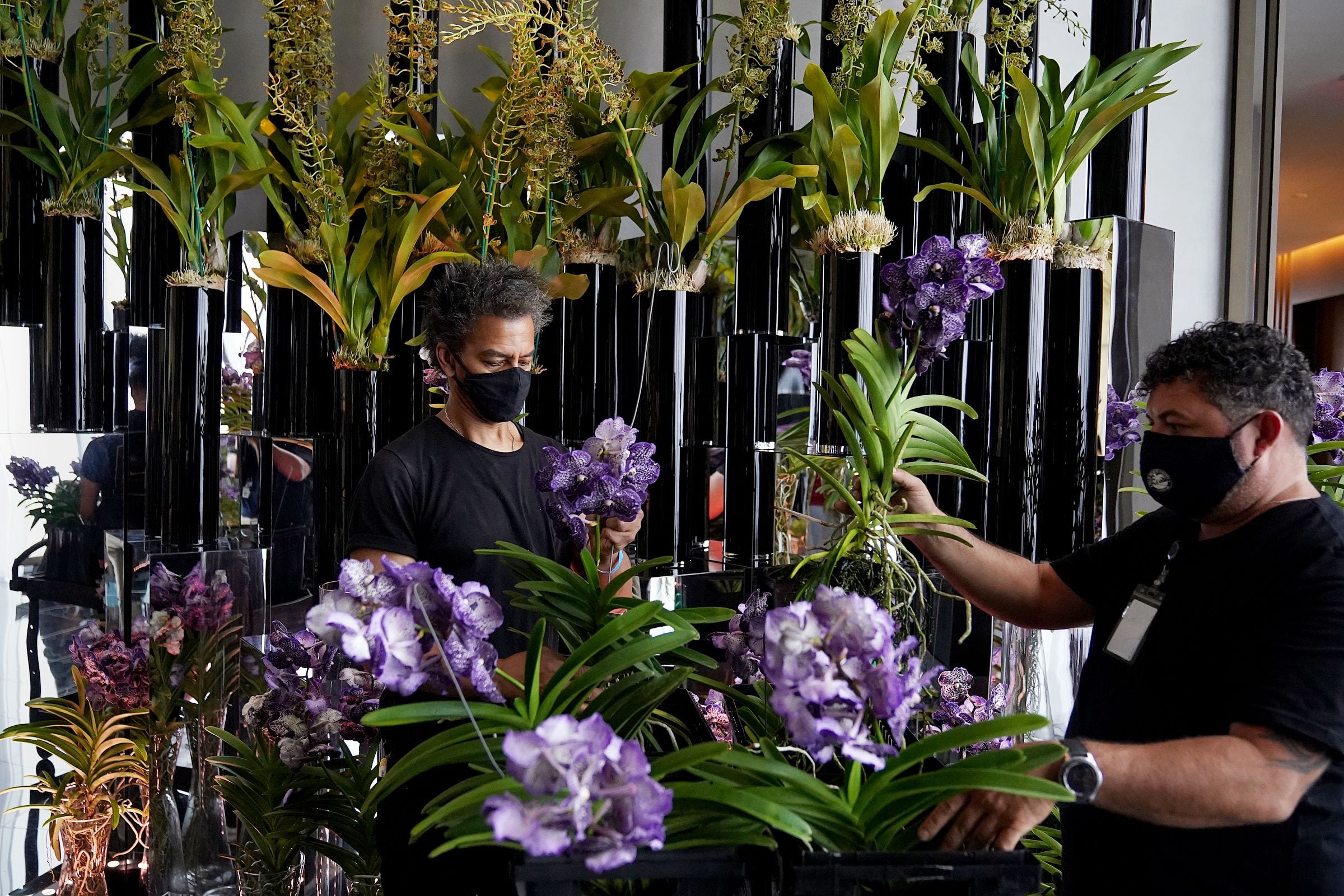 Floral 4 Seasons 21本 UFWTIDOTDZB7PPGNCU2XSUSSL4.jpg