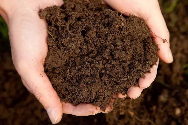 Adding a good layer of compost and shredded leaves and turning the soil now means all you do in the spring is plant seeds.
