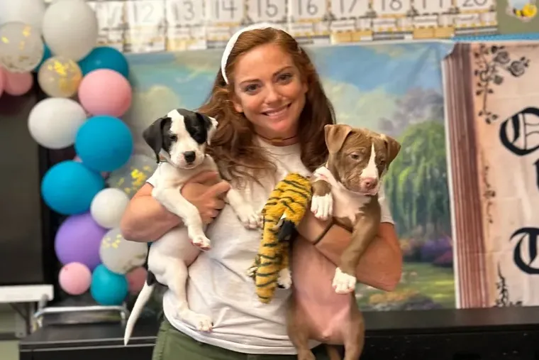 Brooke Hughes, a Wilmington, Delaware first-grade teacher, went viral on TikTok for bringing foster puppies to her classroom.