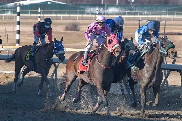 Thoroughbred horses race during a March 2021 race at the Parx Racing track facilities in Bensalem, PA. The Pennsylvania horse racing commission on Tuesday put out a plan to reduce deaths at thoroughbred tracks.