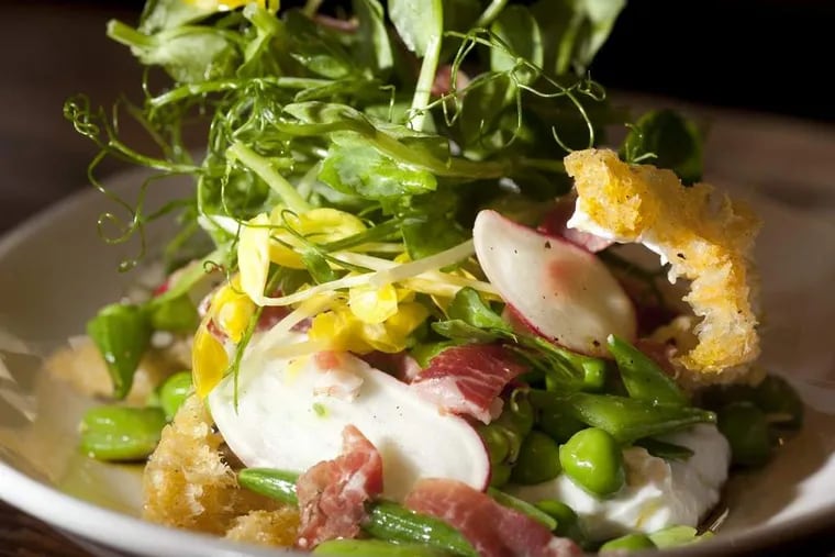That ham is at the heart of  “judias verdes,” beneath a angle of pea tendrils, fava beans, crunchy torn-bread croutons, and sheep’s milk ricotta touched with lemon and mint.