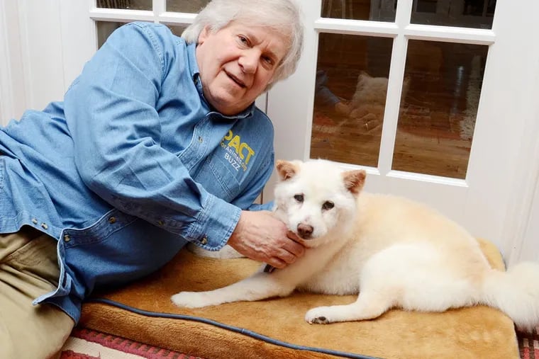 Buzz Miller, a Main Line resident, founded the nonprofit PACT for Animals. Miller pets his dog Sukie, a 17-year-old Shiba Inu, who is deaf and blind, as she rests on her pillow.