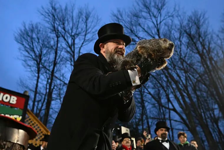 Groundhog Club handler A.J. Dereume holds Punxsutawney Phil during the 138th celebration of Groundhog Day on Gobbler's Knob in Punxsutawney on Friday.